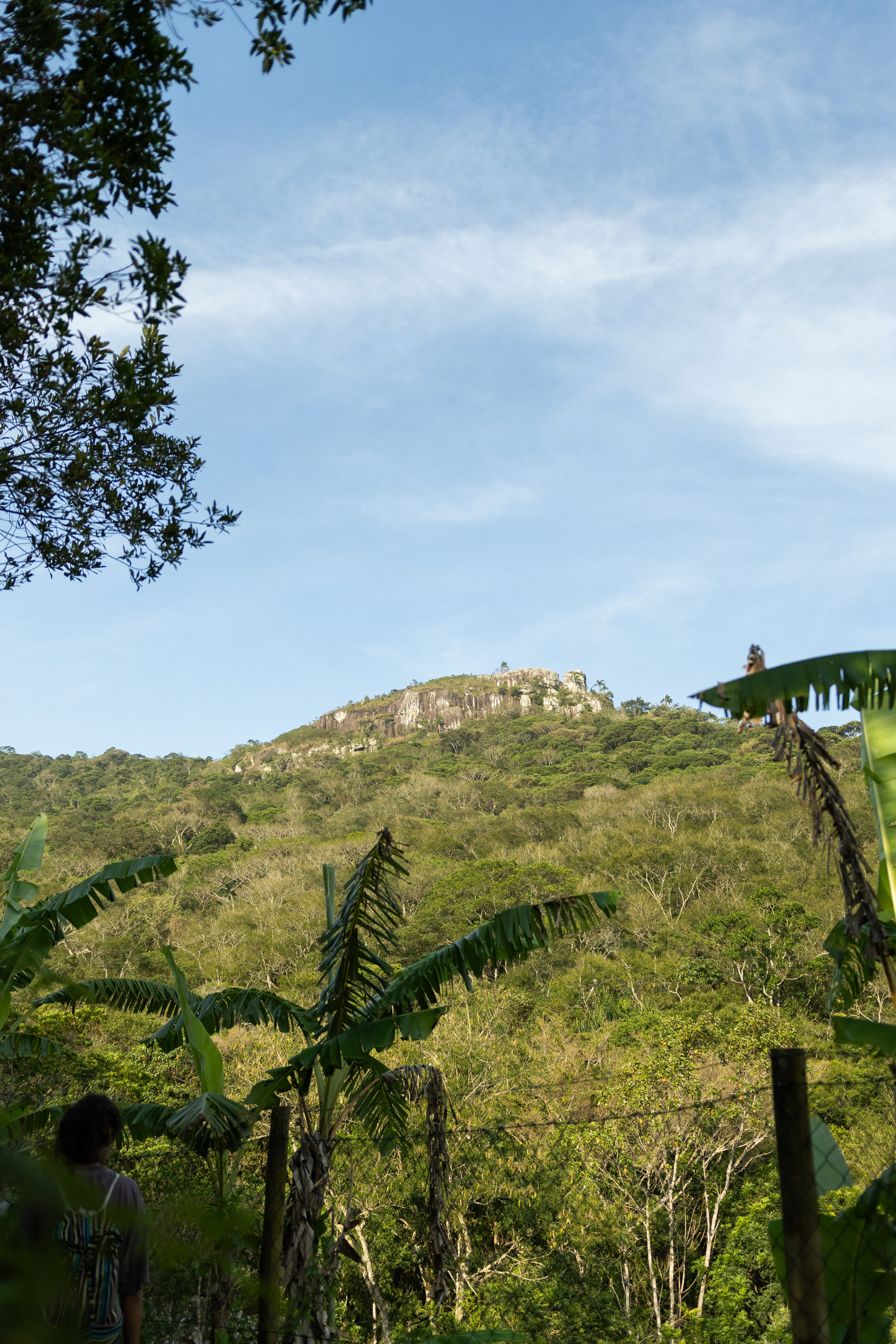 NATURALEZA
