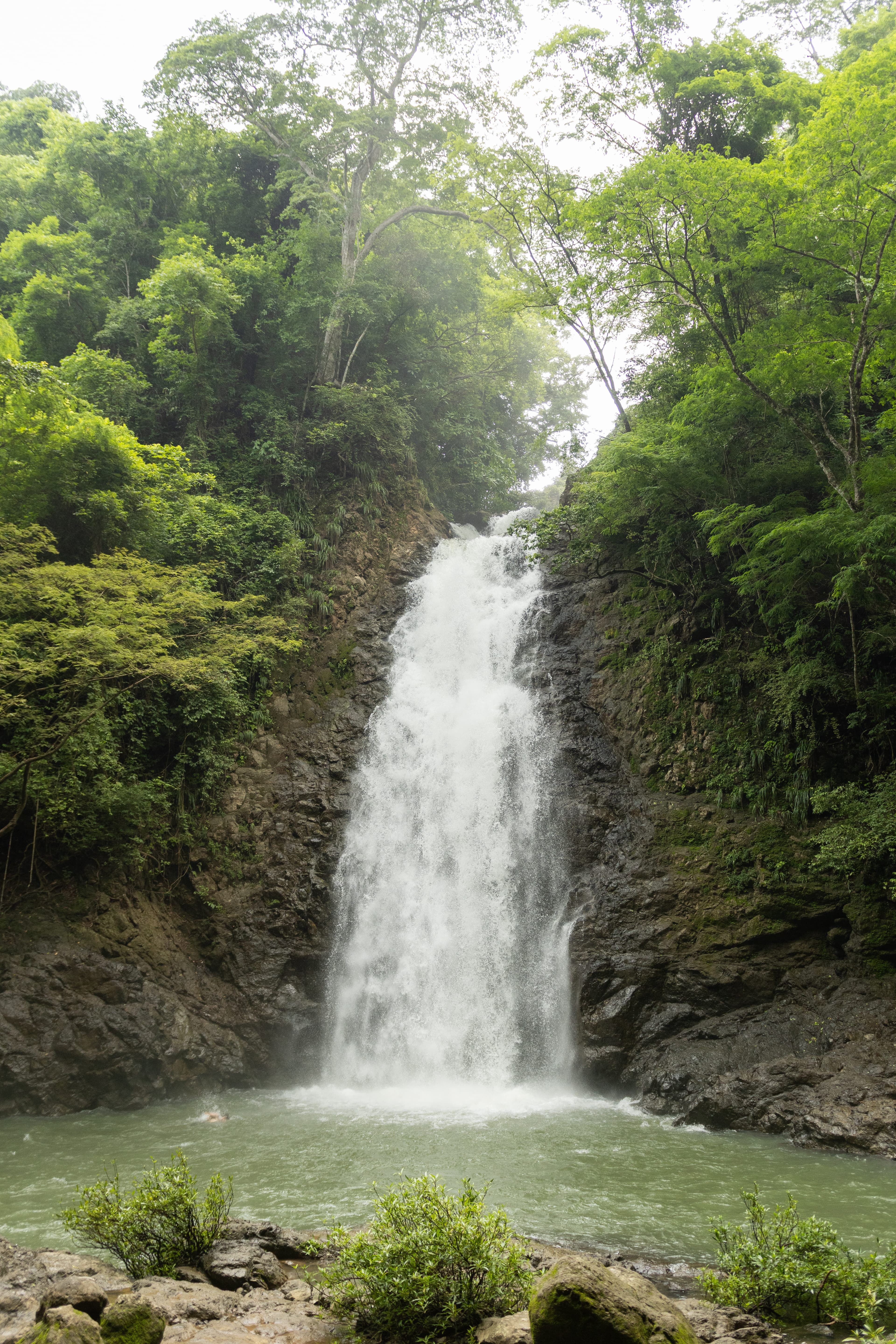 NATURALEZA